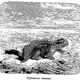 Illustration for article titled Strange 19th Century Drawings of Dinosaurs and Other Extinct Animals